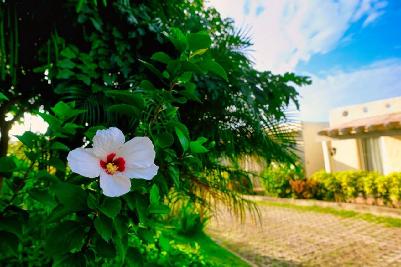 Hotel Soffia Yapak Zewnętrze zdjęcie